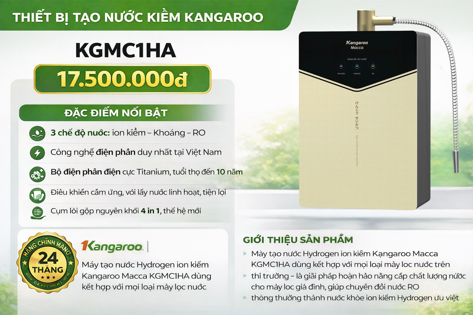 kangaroo macca KGMC1HA